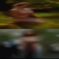 Bull fucks girl real life